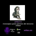 Hablemos de perros Hablemos de perros