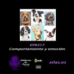 Hablemos de perros Hablemos de perros