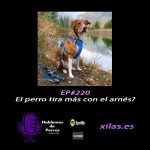 Hablemos de perros Hablemos de perros