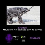 Hablemos de perros Hablemos de perros