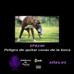 Hablemos de perros Hablemos de perros