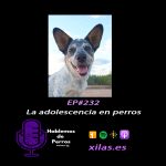 Hablemos de perros Hablemos de perros