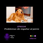 Hablemos de perros