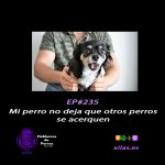 Hablemos de perros Hablemos de perros