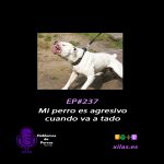 Hablemos de perros Hablemos de perros