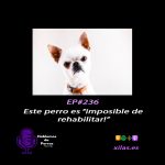 Hablemos de perros Hablemos de perros
