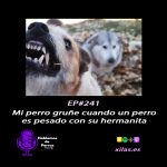 Hablemos de perros Hablemos de perros
