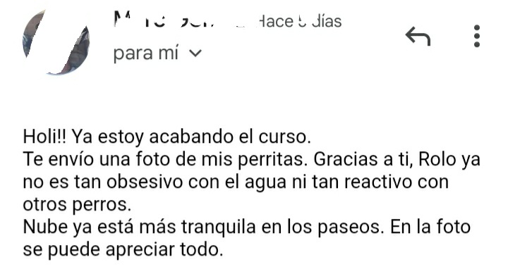 opiniones curso xilas