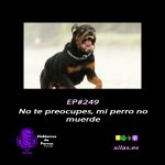 Hablemos de perros
