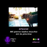 Hablemos de perros Hablemos de perros