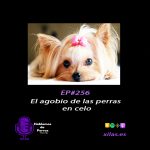 Hablemos de perros Hablemos de perros