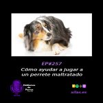 Hablemos de perros Hablemos de perros
