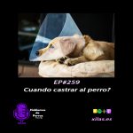 Hablemos de perros