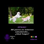 Hablemos de perros Hablemos de perros