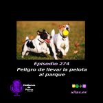 Hablemos de perros Hablemos de perros