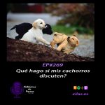 Hablemos de perros Hablemos de perros