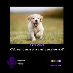Hablemos de perros Hablemos de perros