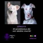 Hablemos de perros