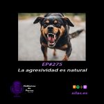 Hablemos de perros