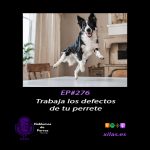 Hablemos de perros Hablemos de perros