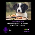 Hablemos de perros Hablemos de perros