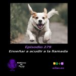 Hablemos de perros Hablemos de perros