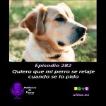 Hablemos de perros