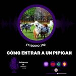 Hablemos de perros Hablemos de perros