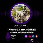 Hablemos de perros Hablemos de perros