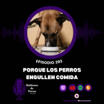 Hablemos de perros Hablemos de perros