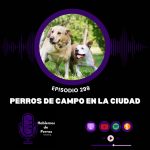 Hablemos de perros Hablemos de perros