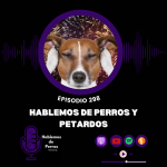 Hablemos de perros Hablemos de perros