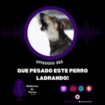 Hablemos de perros
