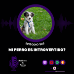Hablemos de perros Hablemos de perros