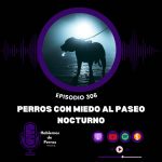 Hablemos de perros Hablemos de perros