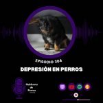 Hablemos de perros Hablemos de perros