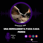 Hablemos de perros Hablemos de perros