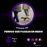 Hablemos de perros