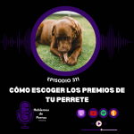 Hablemos de perros Hablemos de perros