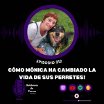 Hablemos de perros Hablemos de perros