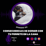 Hablemos de perros