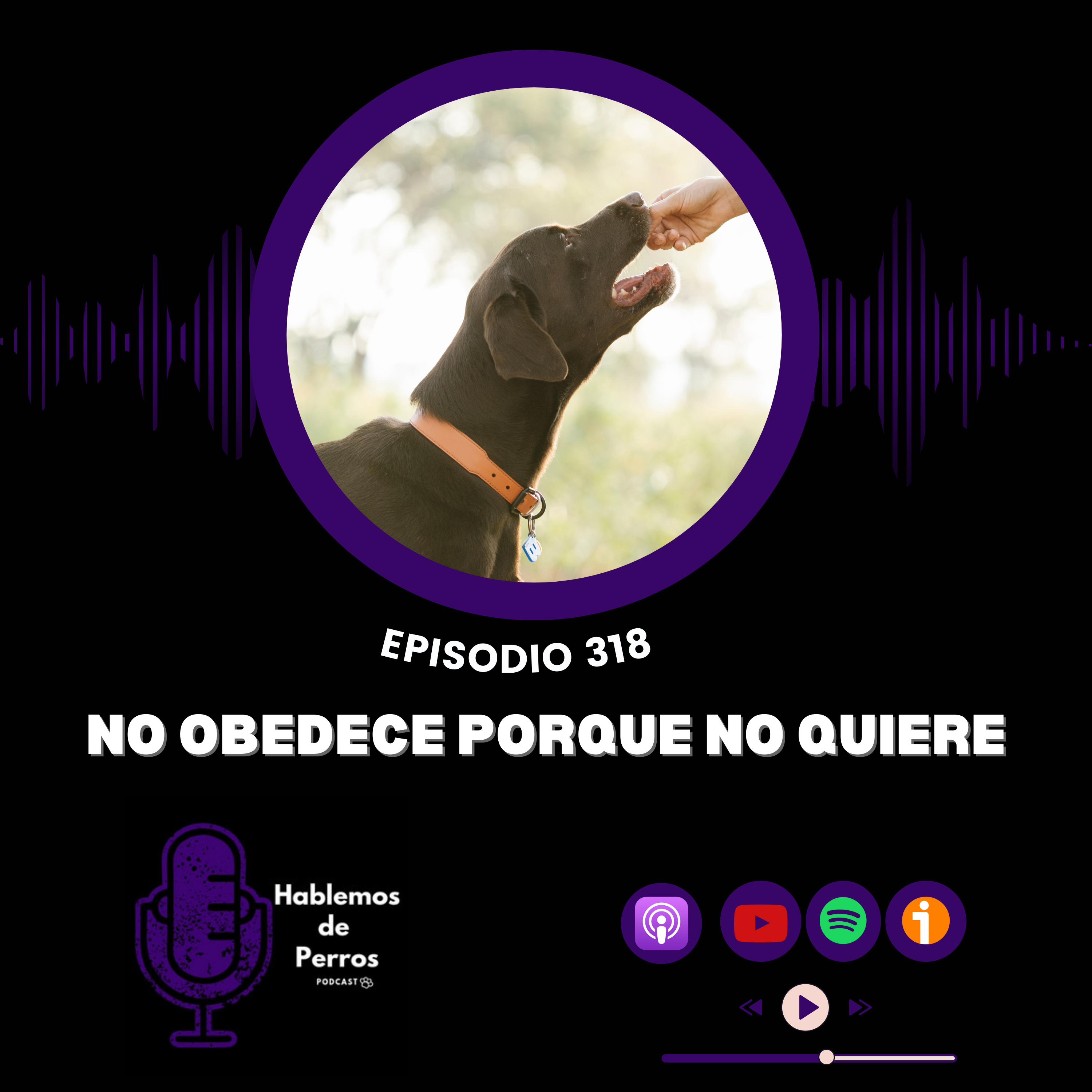 Episodio #318: Mi perro no obedece porque no quiere