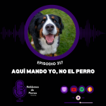 Hablemos de perros Hablemos de perros