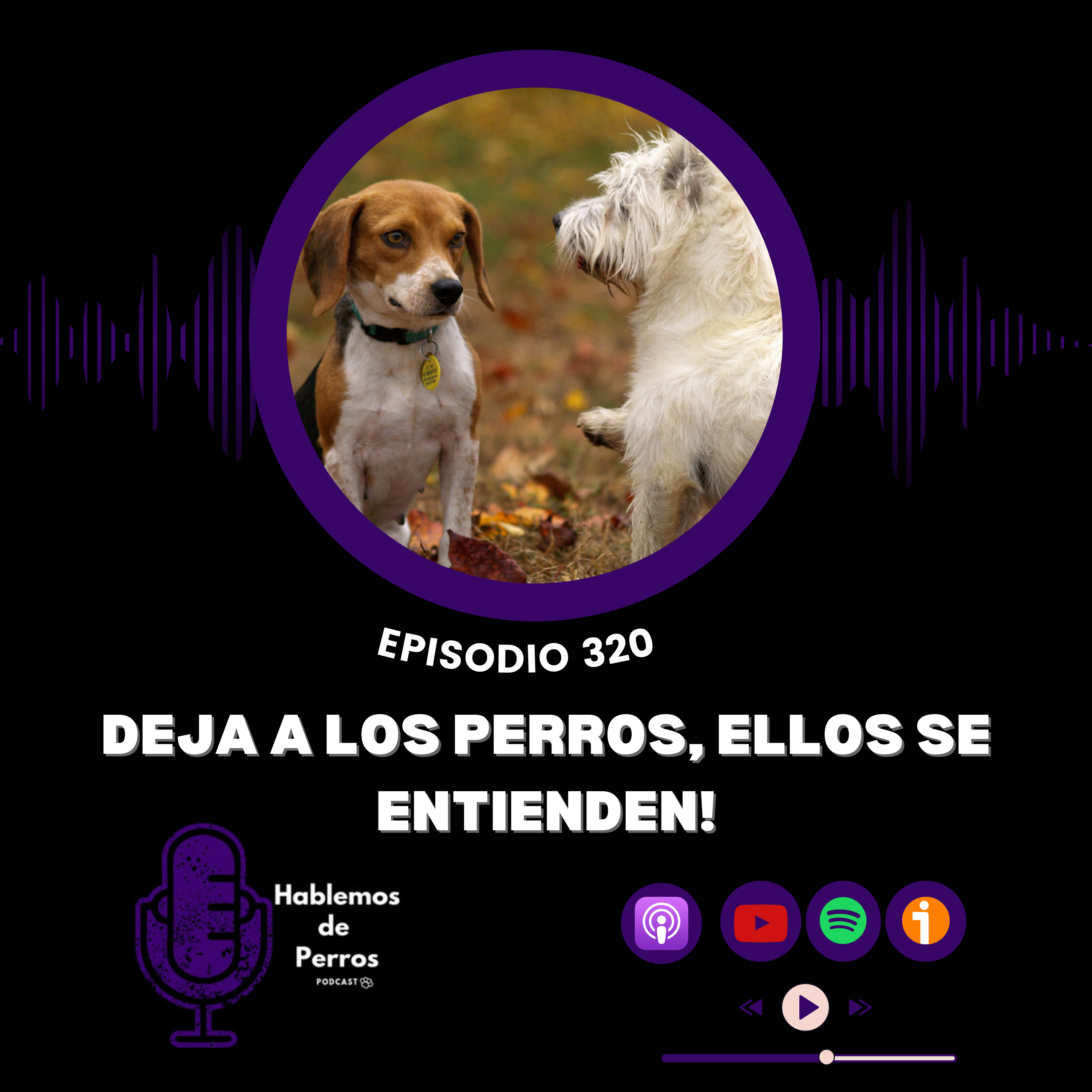 Episodio #320: Deja que ellos se apañen