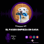 Hablemos de perros Hablemos de perros