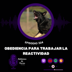 Hablemos de perros Hablemos de perros