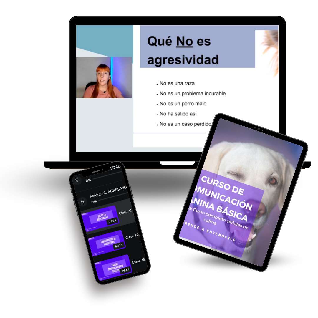 cobvercomuniccs cobvercomuniccs