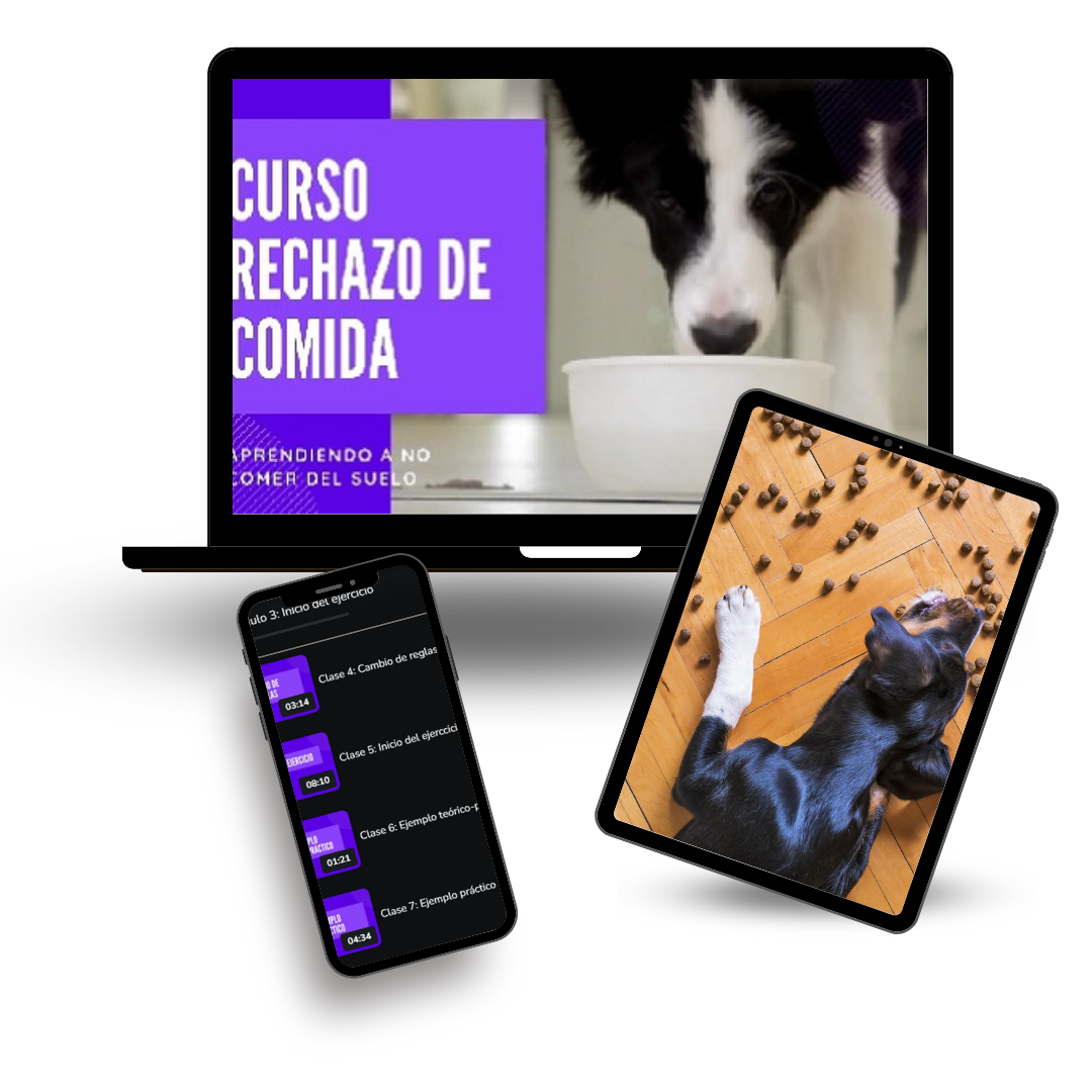 dfkjgladfjd dfkjgladfjd