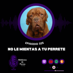 Hablemos de perros