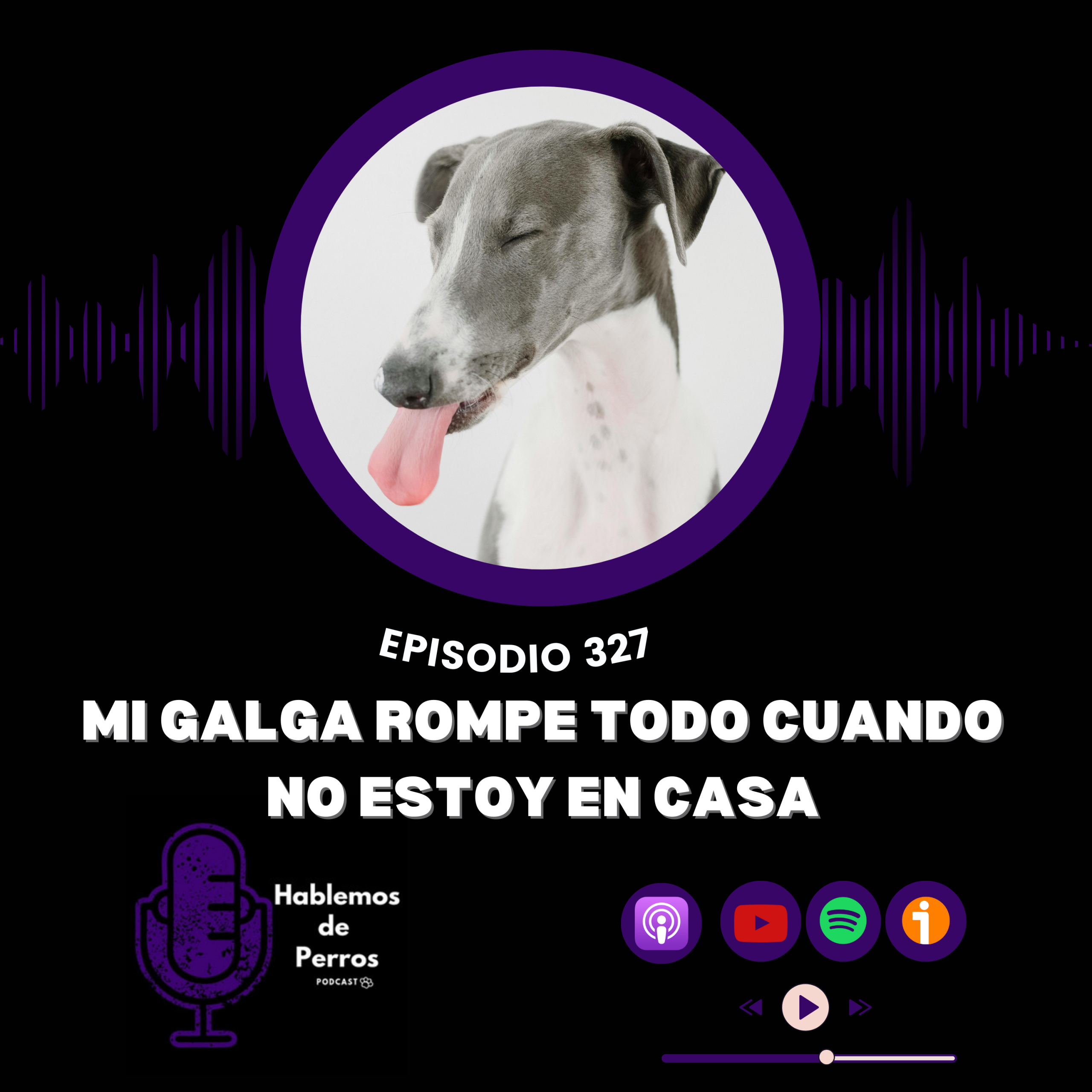 Episodio #327: Mi galga rompe todo cuando no estoy en casa